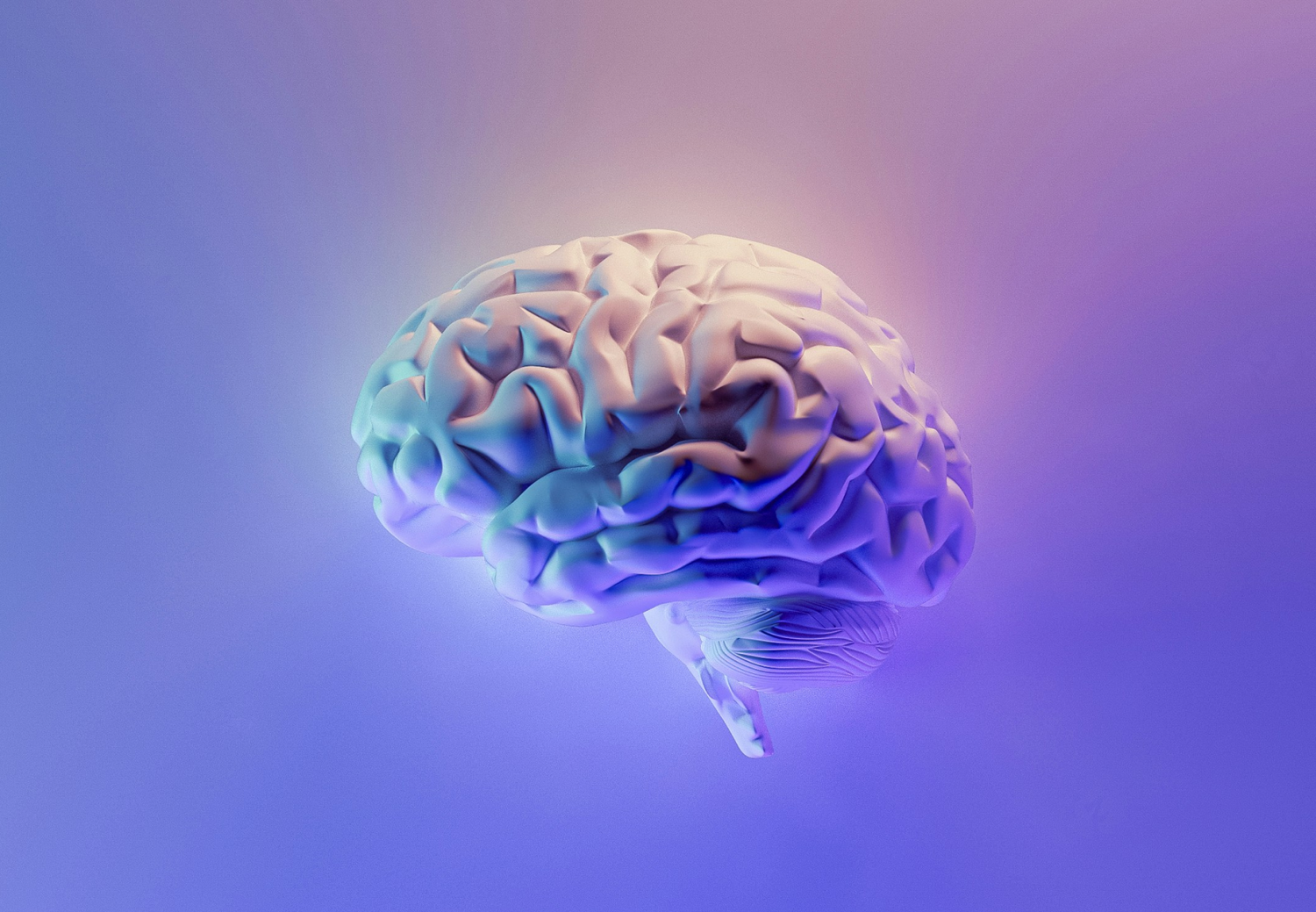 blog header image5