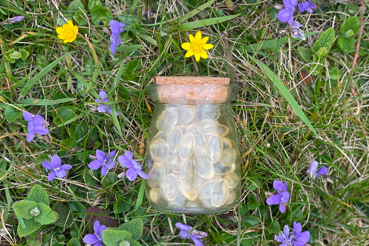blog header image1