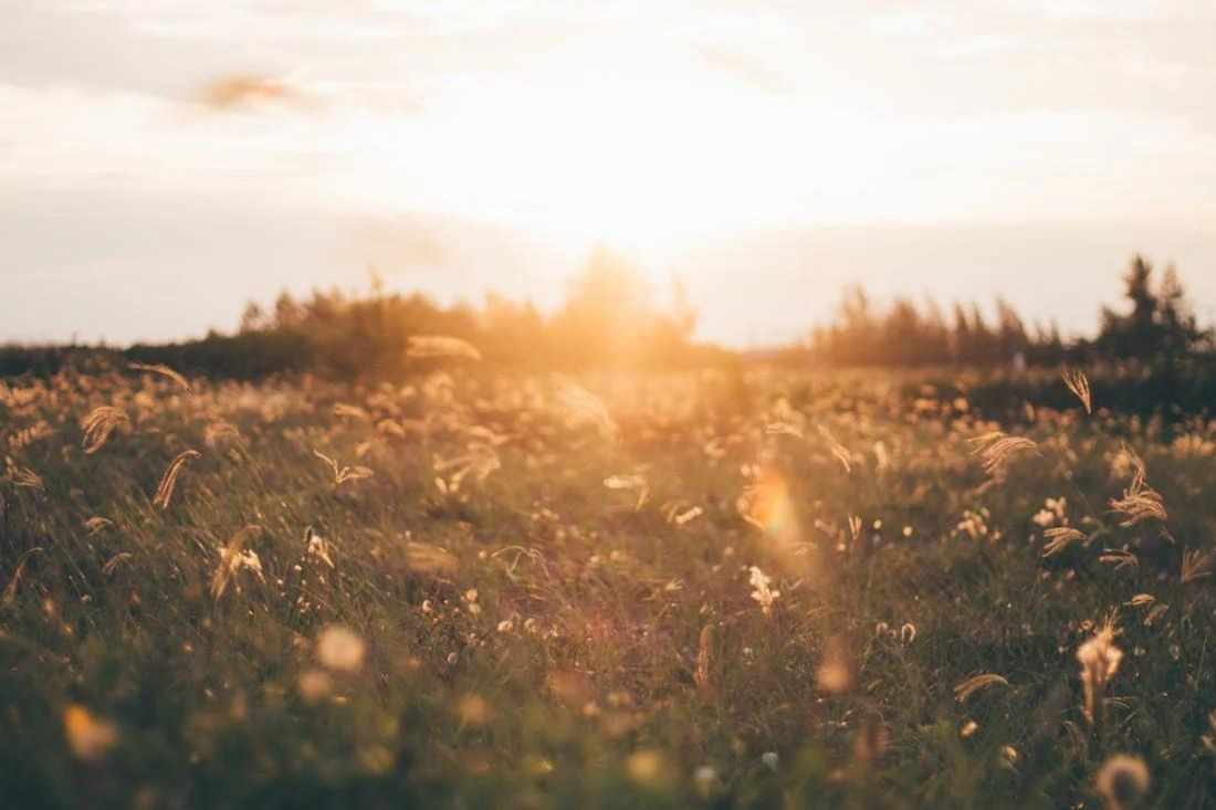 Do I ne... featured image