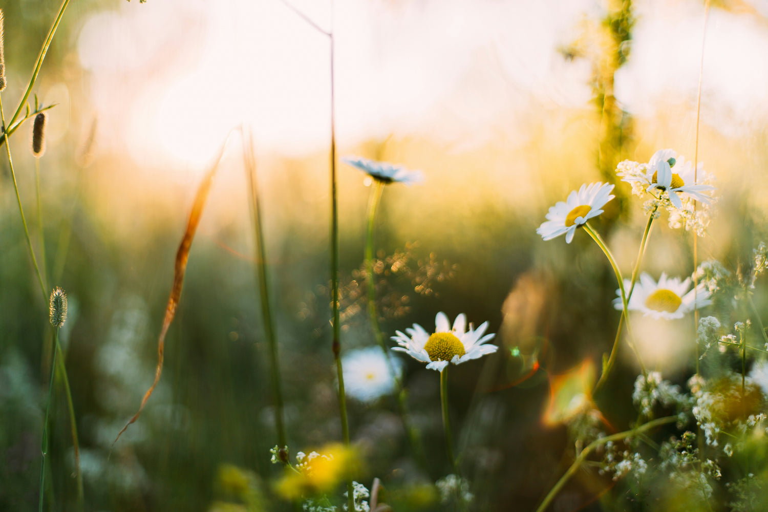 blog header image3