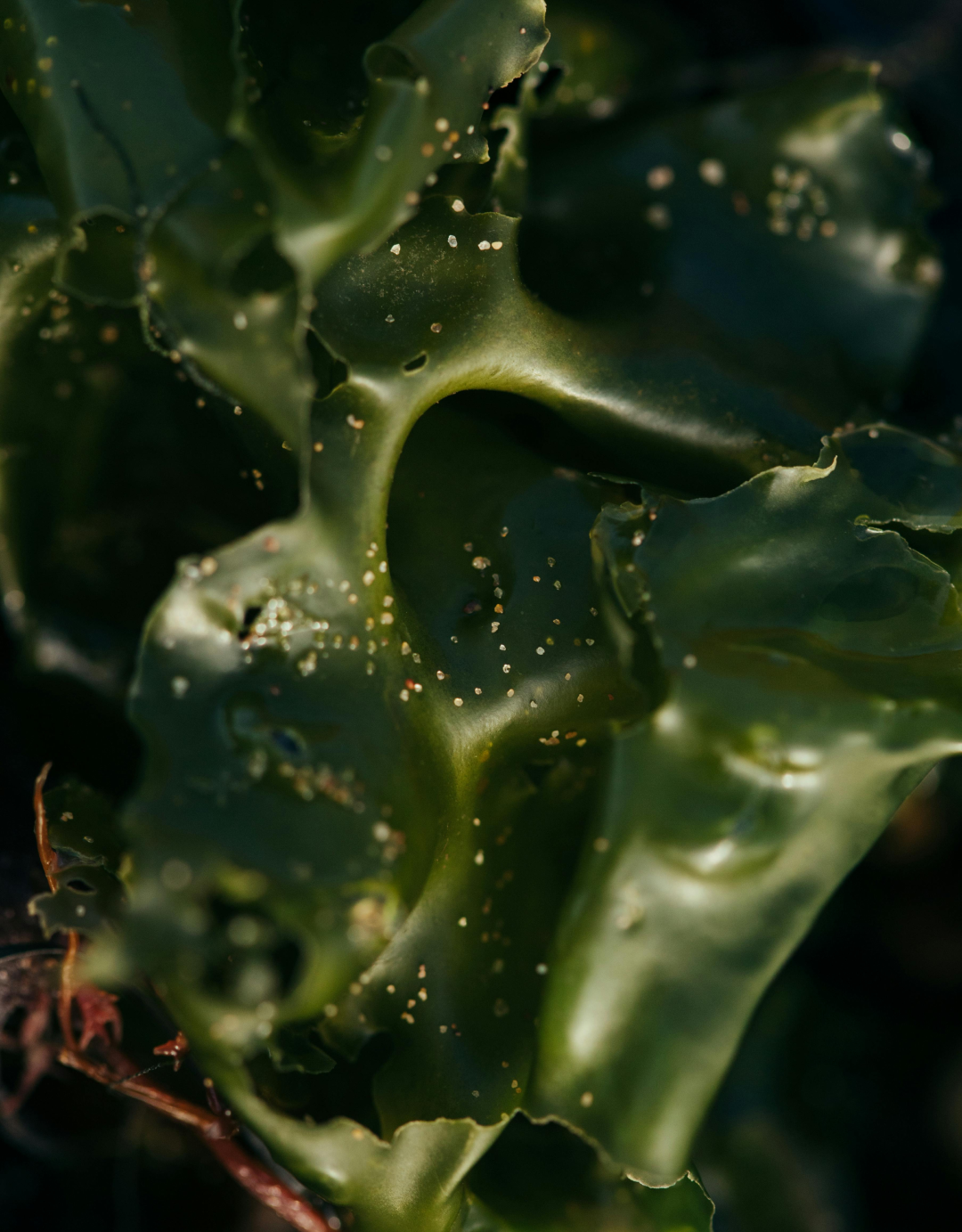 blog header image4
