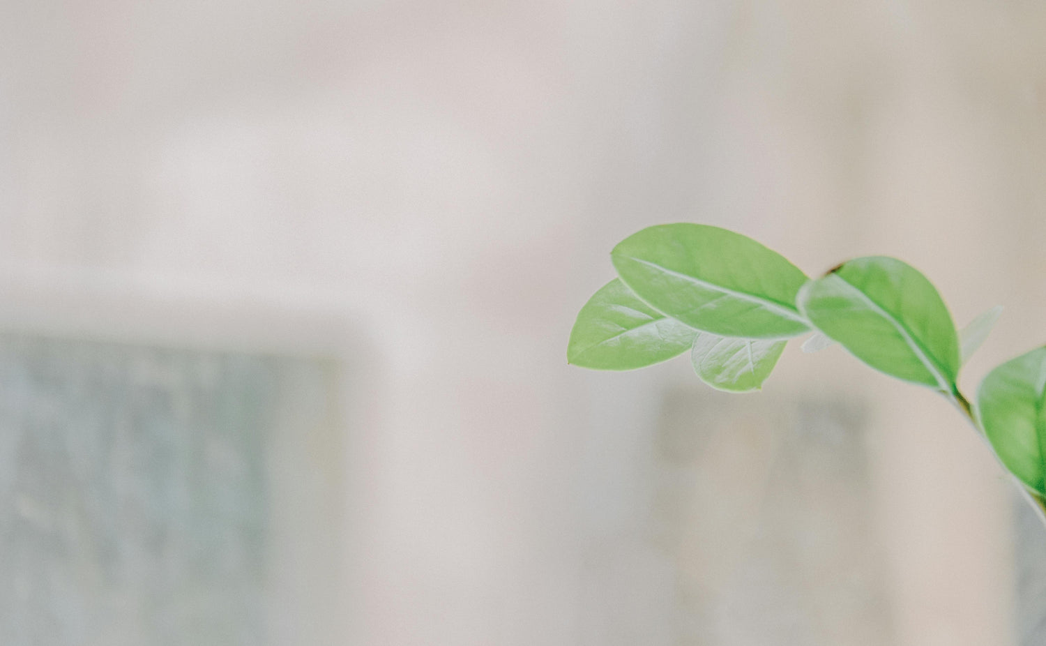 blog header image4