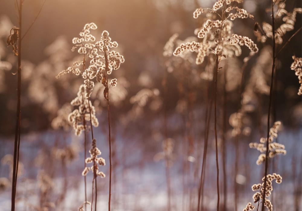 blog header image8