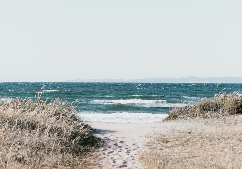blog header image2