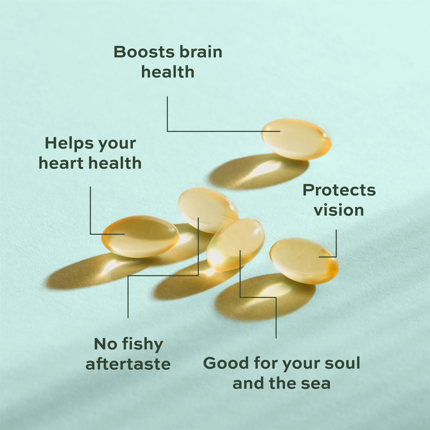 Algae Omega 3