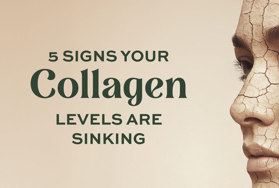 5 signs... featured image