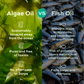 product thumbnail image - 6
