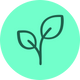 100% plant-based