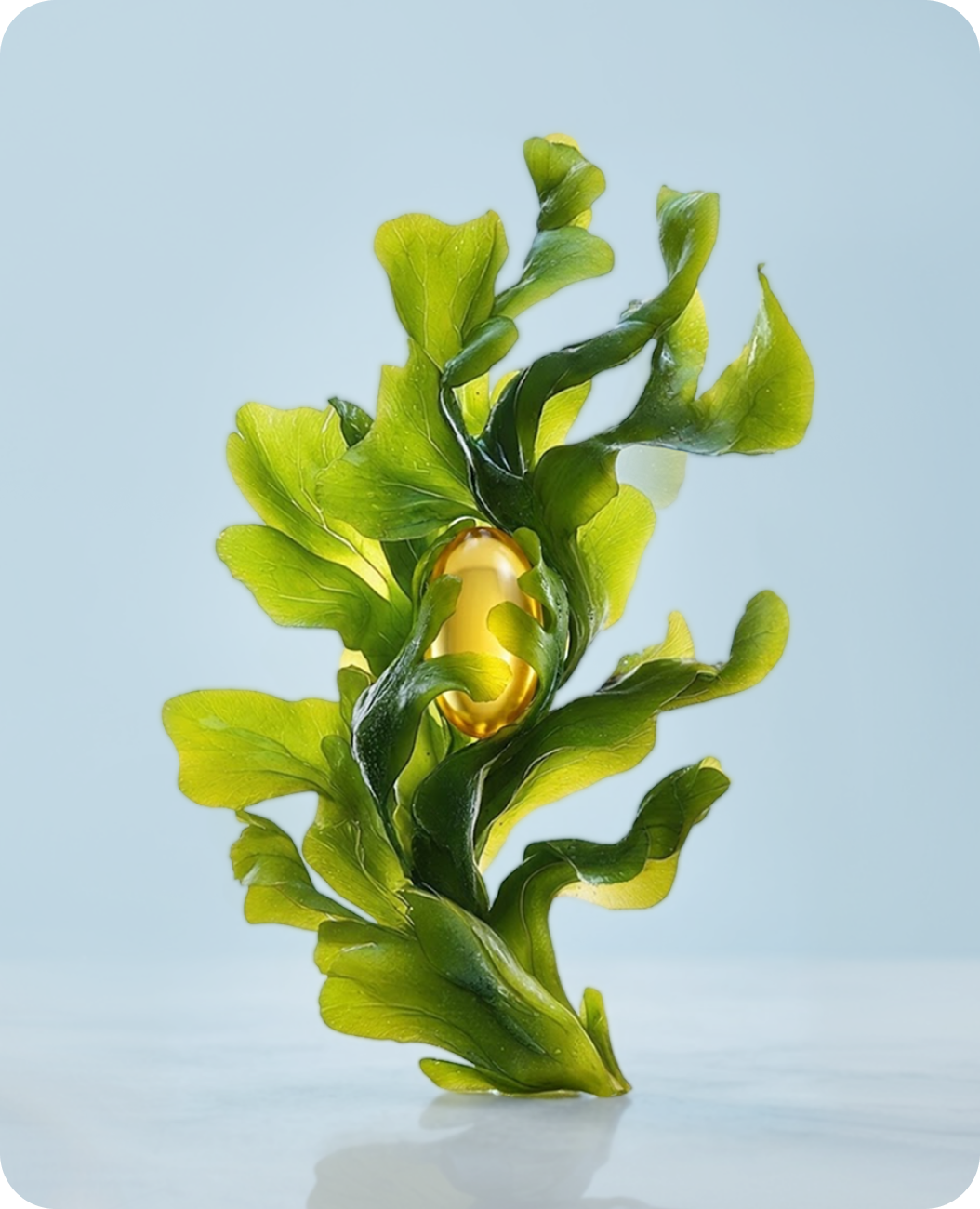 Algae with Omega-3 Capsule